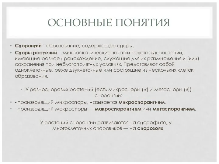 ОСНОВНЫЕ ПОНЯТИЯ Спорангий - образование, содержащее споры. Споры растений - микроскопические