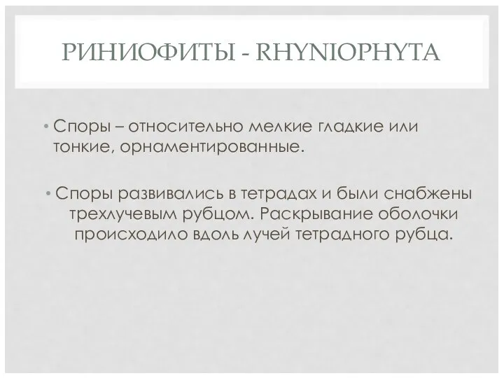 РИНИОФИТЫ - RHYNIOPHYTA Споры – относительно мелкие гладкие или тонкие, орнаментированные.