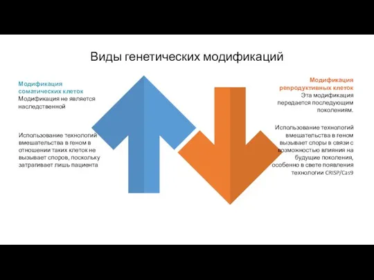 Модификация соматических клеток Модификация не является наследственной Использование технологий вмешательства в