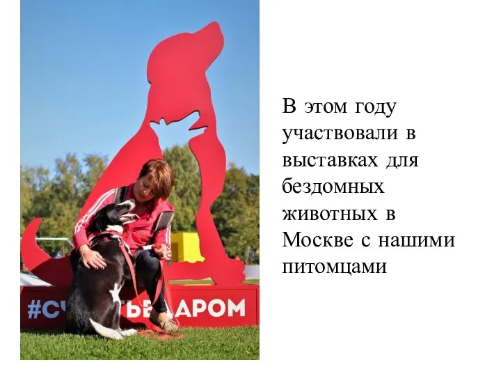 В этом году участвовали в выставках для бездомных животных в Москве с нашими питомцами