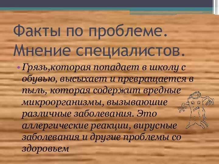 Факты по проблеме. Мнение специалистов. Грязь,которая попадает в школу с обувью,