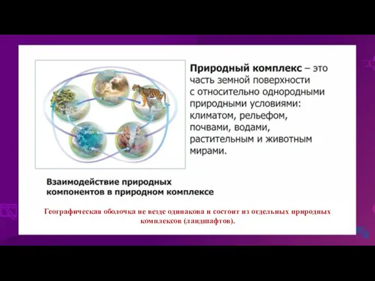 Географическая оболочка не везде одинакова и состоит из отдельных природных комплексов (ландшафтов).