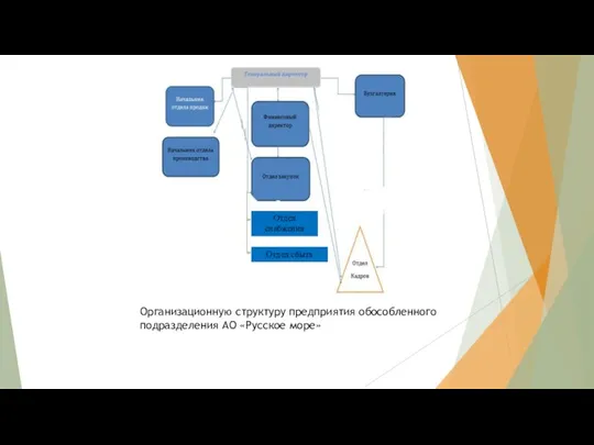 Организационную структуру предприятия обособленного подразделения АО «Русское море» Отдел снабжения Отдел сбыта