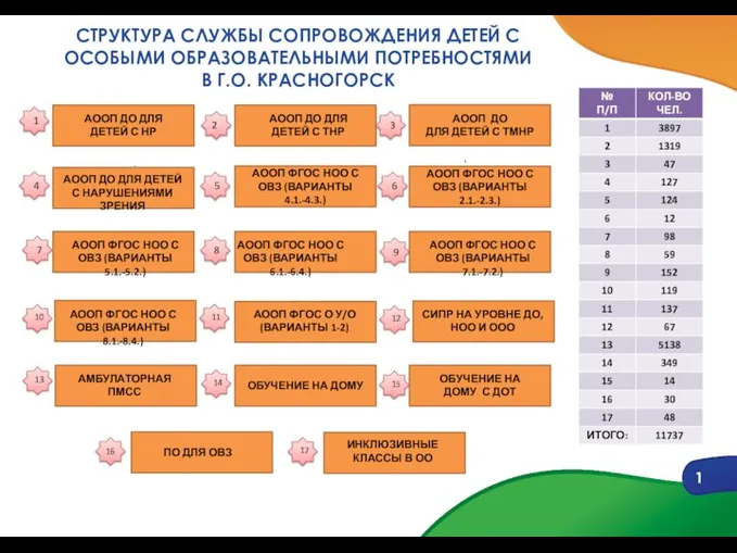 СТРУКТУРА СЛУЖБЫ СОПРОВОЖДЕНИЯ ДЕТЕЙ С ОСОБЫМИ ОБРАЗОВАТЕЛЬНЫМИ ПОТРЕБНОСТЯМИ В Г.О. КРАСНОГОРСК