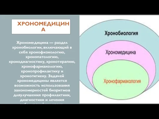 ХРОНОМЕДИЦИНА Хрономедицина — раздел хронобиологии, включающий в себя хронофизиологию, хронопатологию, хронодиагностику,