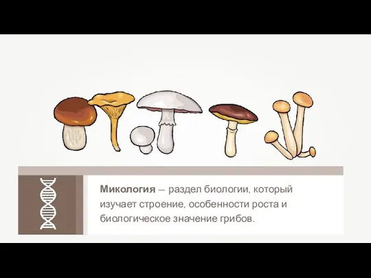 Микология — раздел биологии, который изучает строение, особенности роста и биологическое значение грибов.