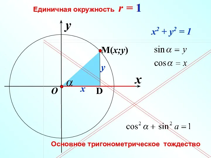 x Единичная окружность r = 1 y O x y x2