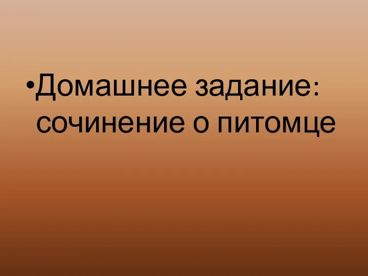 Домашнее задание: сочинение о питомце