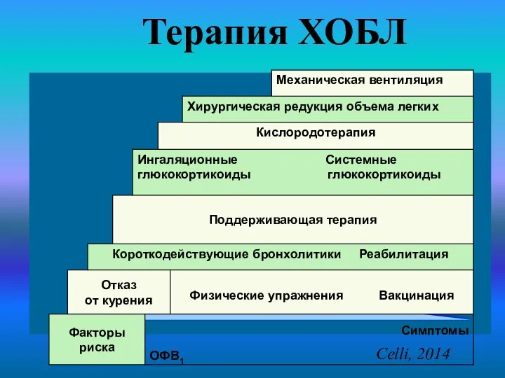 Терапия ХОБЛ Celli, 2014