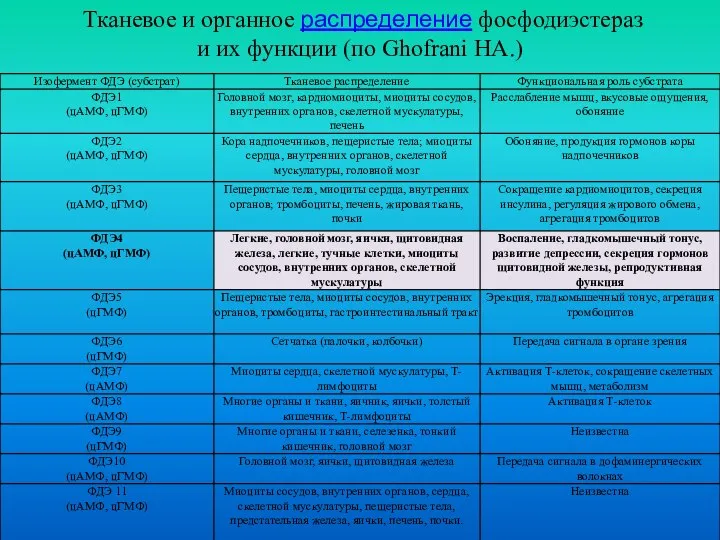 Тканевое и органное распределение фосфодиэстераз и их функции (по Ghofrani HA.)