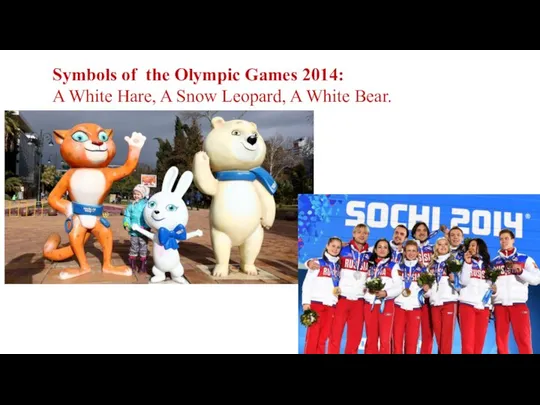 Symbols of the Olympic Games 2014: A White Hare, A Snow Leopard, A White Bear.