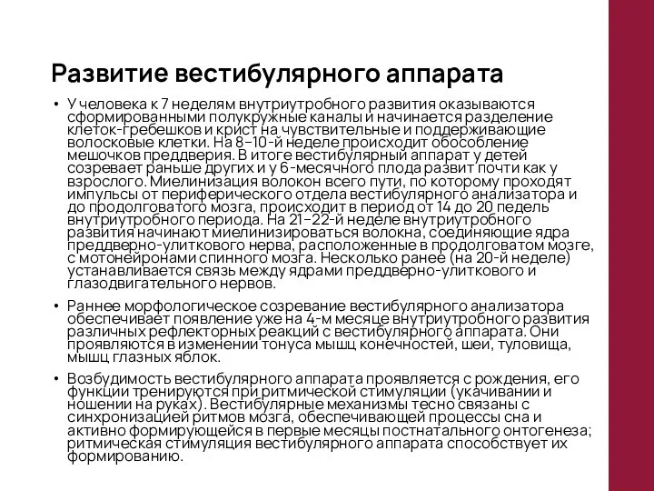 Развитие вестибулярного аппарата У человека к 7 неделям внутриутробного развития оказываются