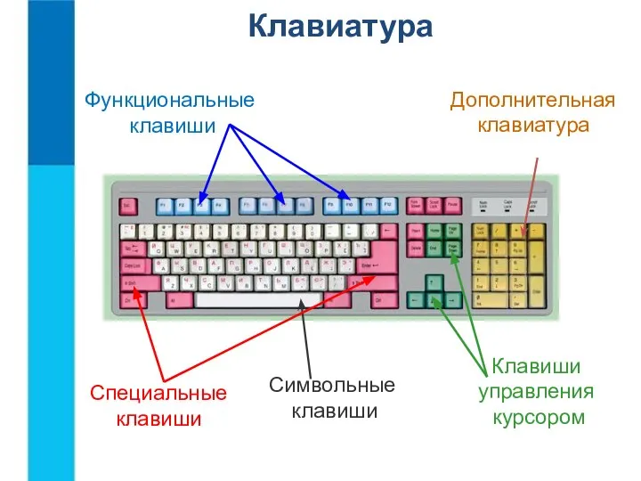 Функциональные клавиши Символьные клавиши Клавиши управления курсором Дополнительная клавиатура Специальные клавиши Клавиатура