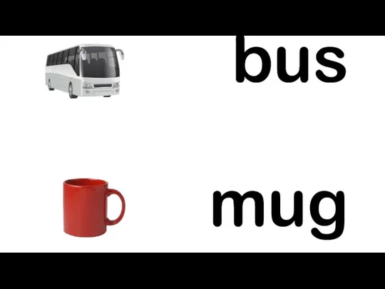 bus mug