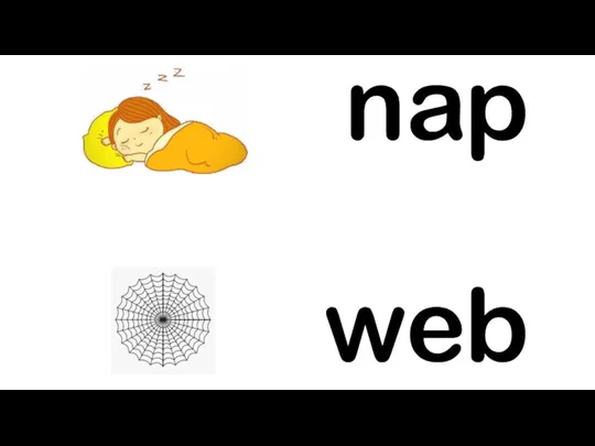 nap web