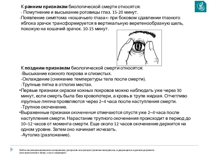 К ранним признакам биологической смерти относятся: - Помутнение и высыхание роговицы