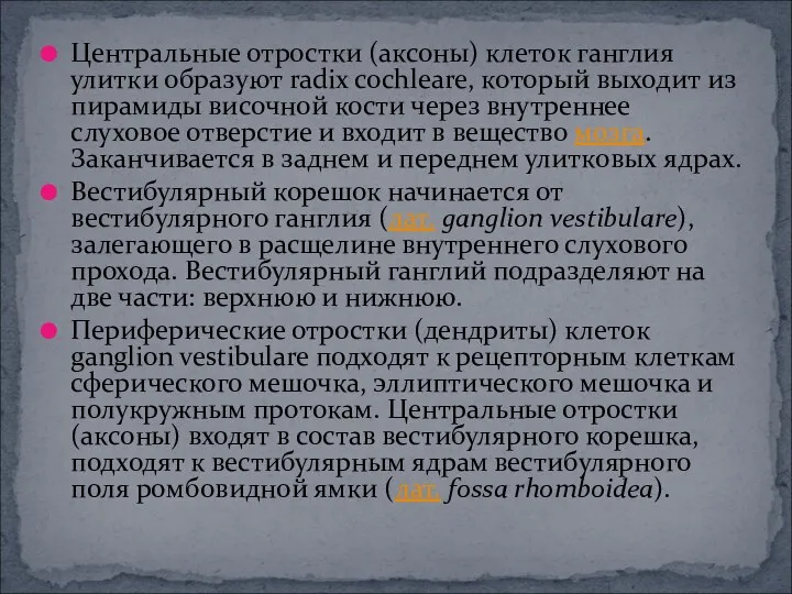 Центральные отростки (аксоны) клеток ганглия улитки образуют radix cochleare, который выходит