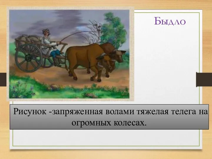 Быдло Рисунок -запряженная волами тяжелая телега на огромных колесах.