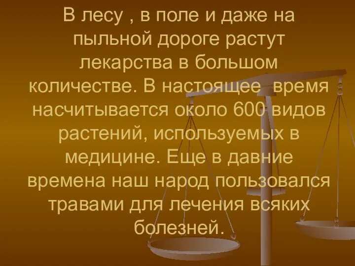 В лесу , в поле и даже на пыльной дороге растут