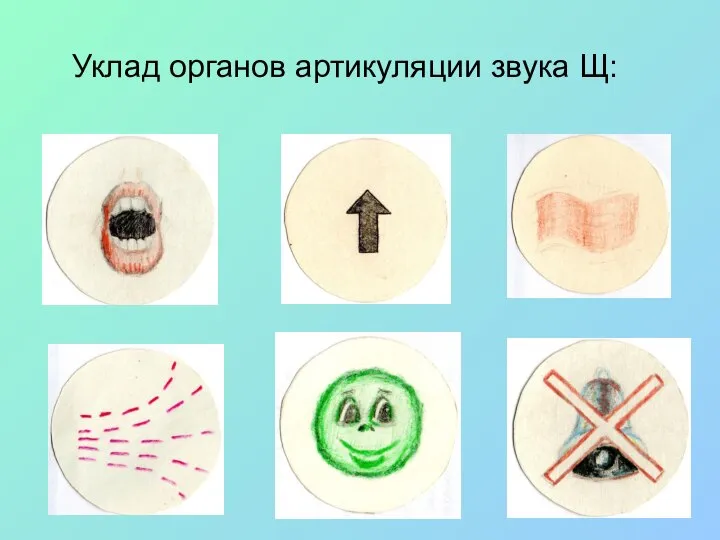 Уклад органов артикуляции звука Щ: