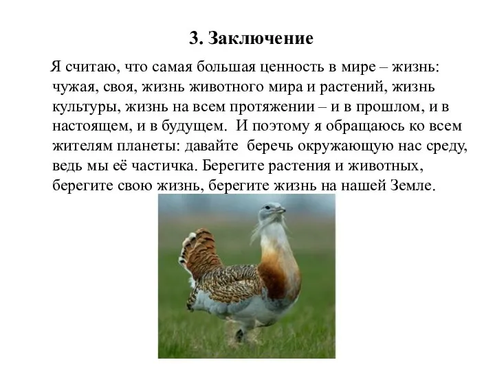 3. Заключение Я считаю, что самая большая ценность в мире –