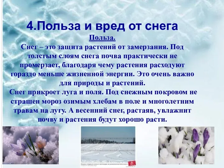 4.Польза и вред от снега Польза. Снег – это защита растений