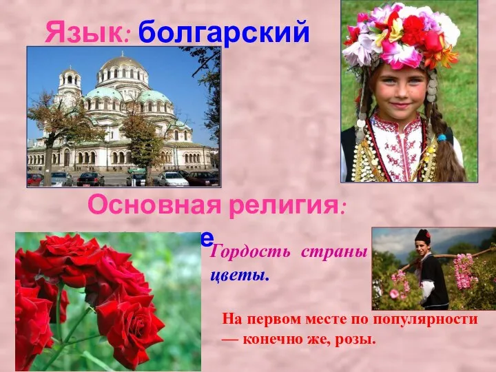 Язык: болгарский Основная религия: православие Гордость страны — цветы. На первом