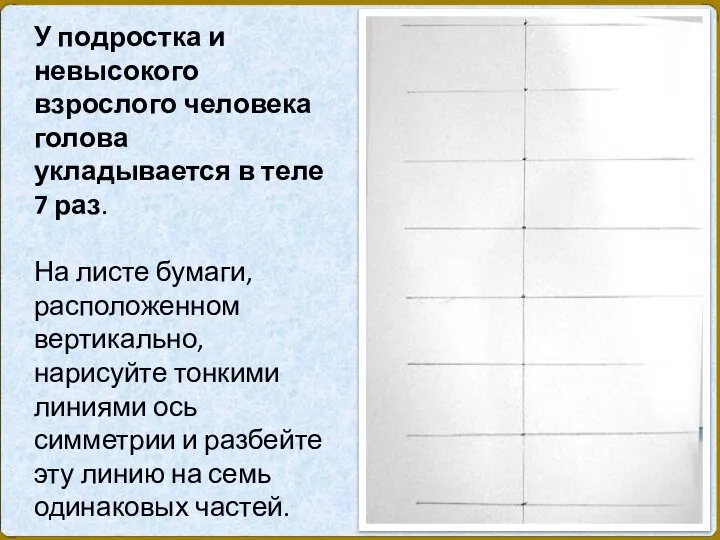 У подростка и невысокого взрослого человека голова укладывается в теле 7