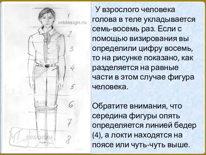 У взрослого человека голова в теле укладывается семь-восемь раз. Если с