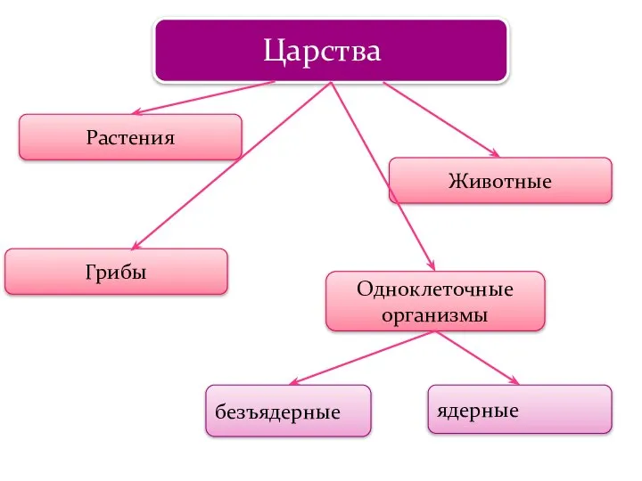 Царства Растения Животные Грибы Одноклеточные организмы безъядерные ядерные