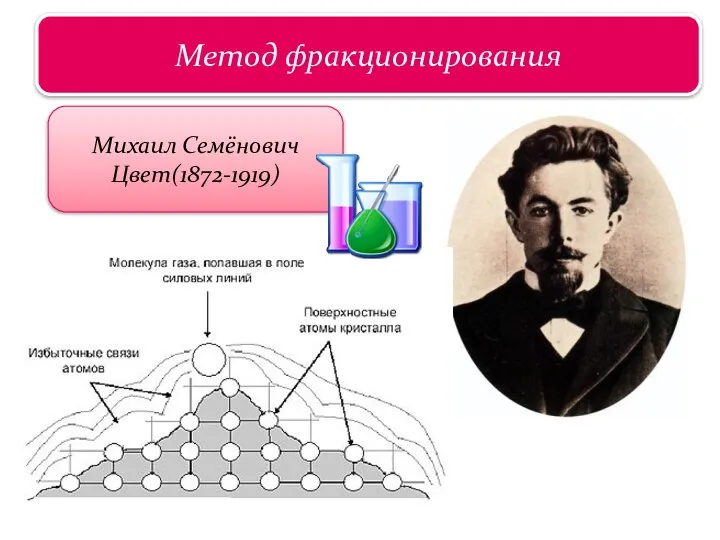 Царство растений Метод фракционирования Михаил Семёнович Цвет(1872-1919)