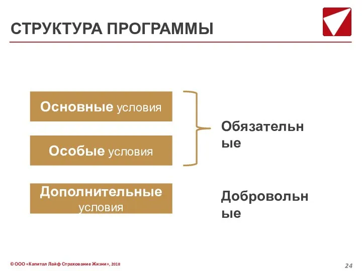 СТРУКТУРА ПРОГРАММЫ Основные условия Особые условия Дополнительные условия Обязательные Добровольные