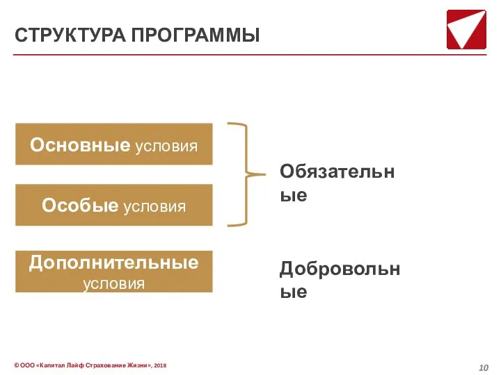 СТРУКТУРА ПРОГРАММЫ Основные условия Особые условия Дополнительные условия Обязательные Добровольные