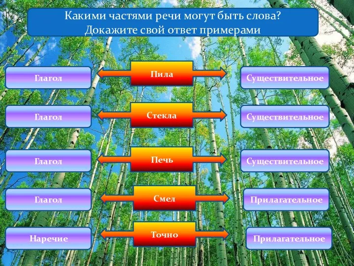 Пила Какими частями речи могут быть слова? Докажите свой ответ примерами