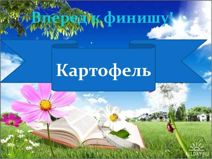 Картофель Вперед к финишу!