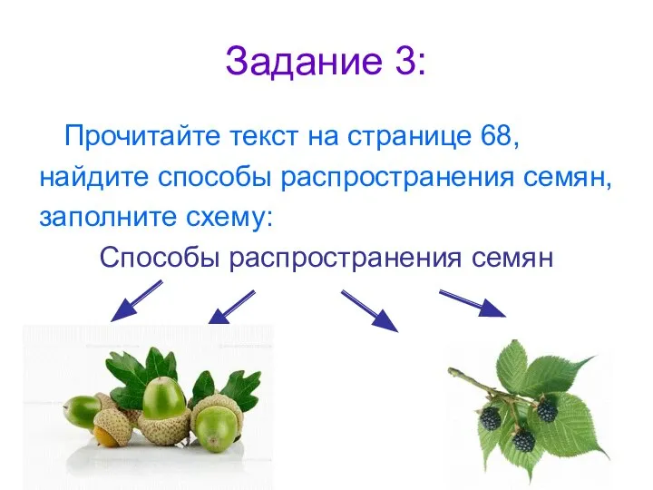 Задание 3: Прочитайте текст на странице 68, найдите способы распространения семян, заполните схему: Способы распространения семян