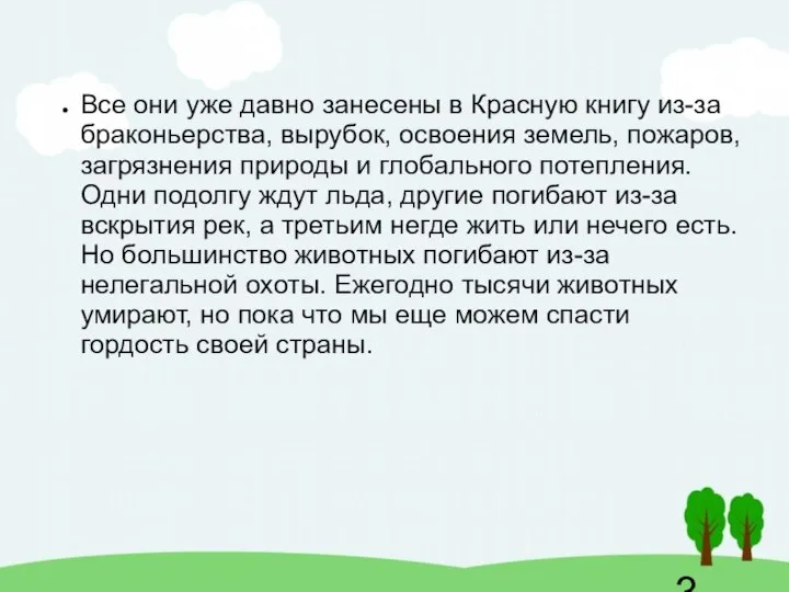 Все они уже давно занесены в Красную книгу из-за браконьерства, вырубок,