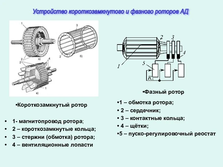 1- магнитопровод ротора; 2 – короткозамкнутые кольца; 3 – стержни (обмотка)