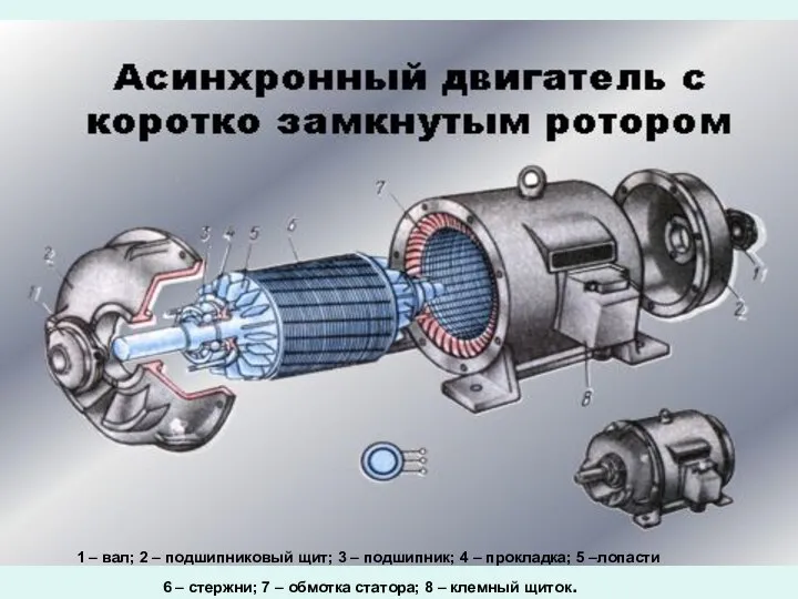 1 – вал; 2 – подшипниковый щит; 3 – подшипник; 4