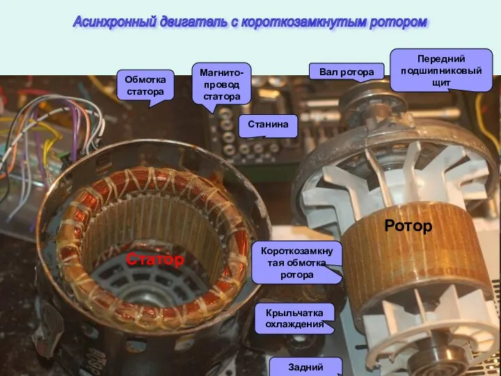 Обмотка статора Магнито-провод статора Станина Вал ротора Передний подшипниковый щит Короткозамкнутая