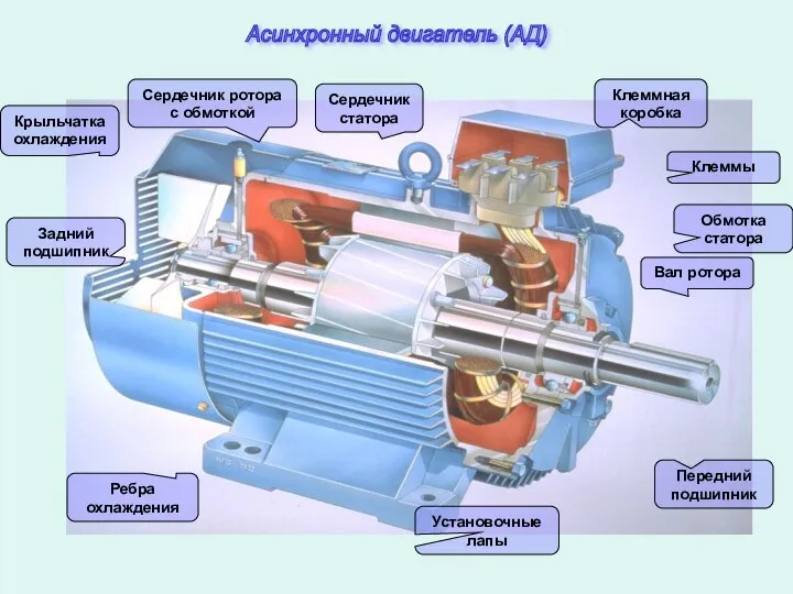 Ребра охлаждения Установочные лапы Передний подшипник Вал ротора Обмотка статора Клеммы