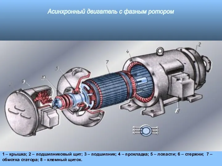 1 – крышка; 2 – подшипниковый щит; 3 – подшипник; 4