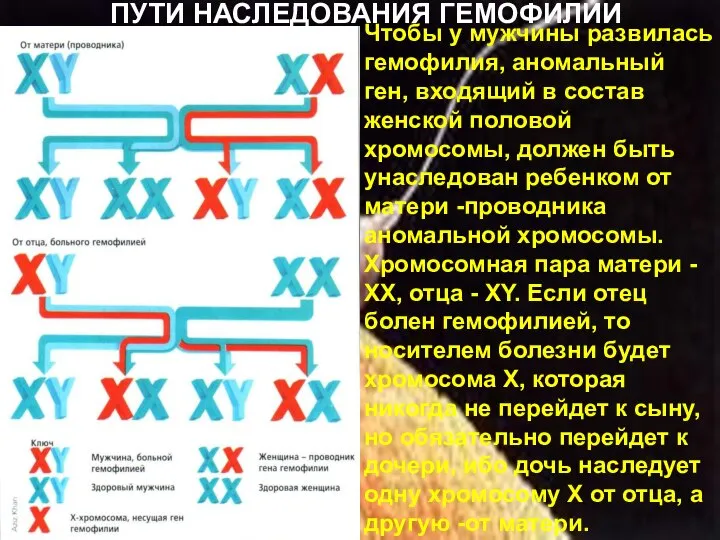 ПУТИ НАСЛЕДОВАНИЯ ГЕМОФИЛИИ Чтобы у мужчины развилась гемофилия, аномальный ген, входящий