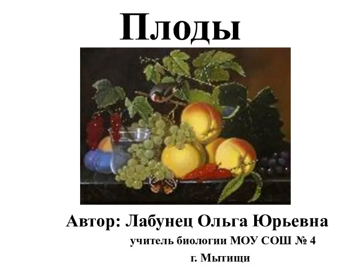 Плоды Автор: Лабунец Ольга Юрьевна учитель биологии МОУ СОШ № 4 г. Мытищи