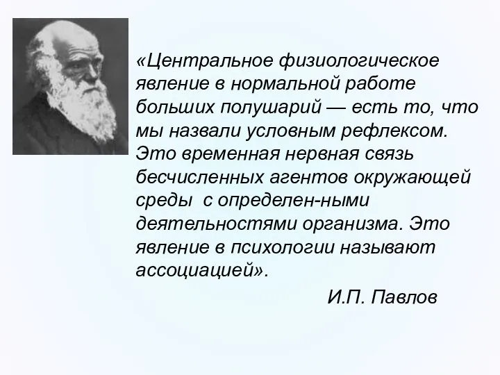 «Центральное физиологическое явление в нормальной работе больших полушарий — есть то,