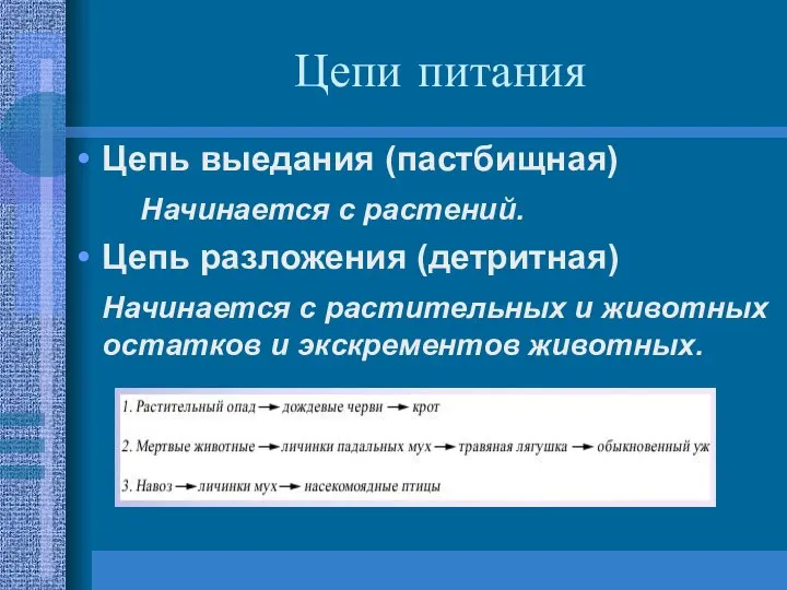 Цепи питания Цепь выедания (пастбищная) Начинается с растений. Цепь разложения (детритная)