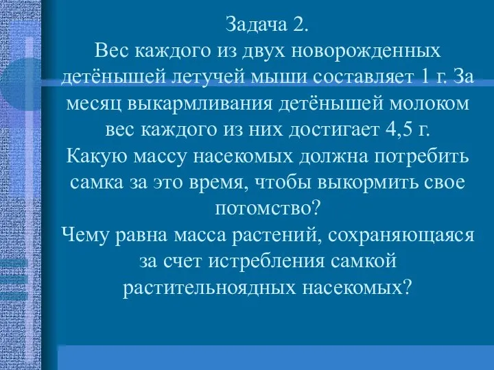 Задача 2. Вес каждого из двух новорожденных детёнышей летучей мыши составляет