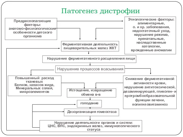 Патогенез дистрофии Предрасполагающие факторы: анатомо-физиологические особенности детского организма Этиологические факторы: алиментарные,