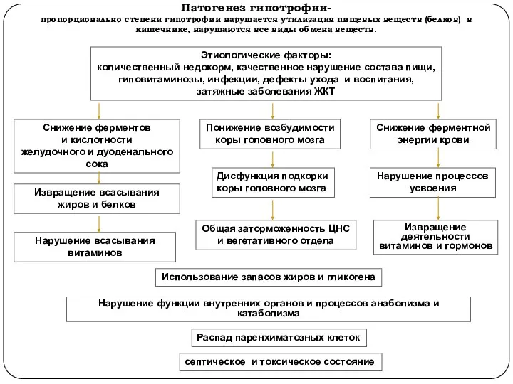 Патогенез гипотрофии- пропорционально степени гипотрофии нарушается утилизация пищевых веществ (белков) в