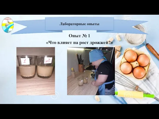 Лабораторные опыты Опыт № 1 «Что влияет на рост дрожжей?»